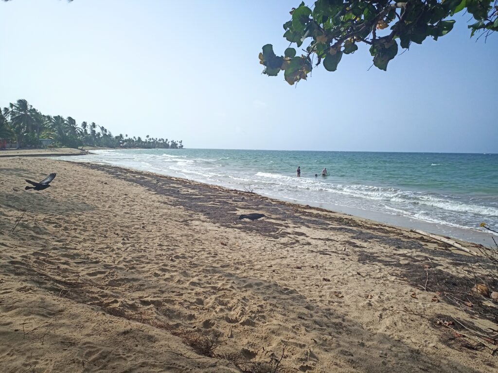 This image has an empty alt attribute; its file name is IMG_20230710_161138_1632-1024x768.jpg