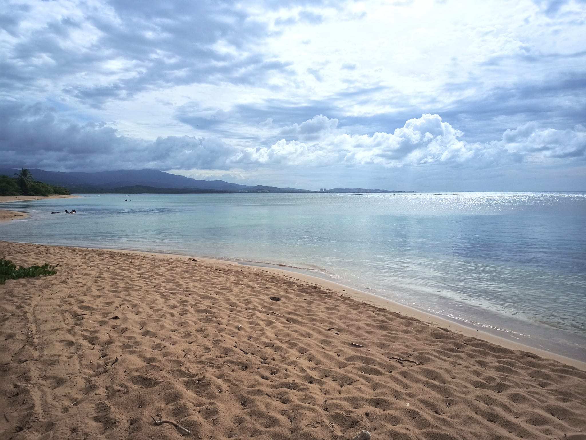 No photo description available.